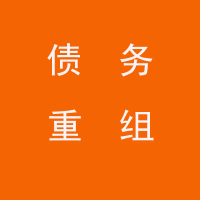 景洪个人债务重组优化
